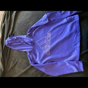 purple Hoodie
